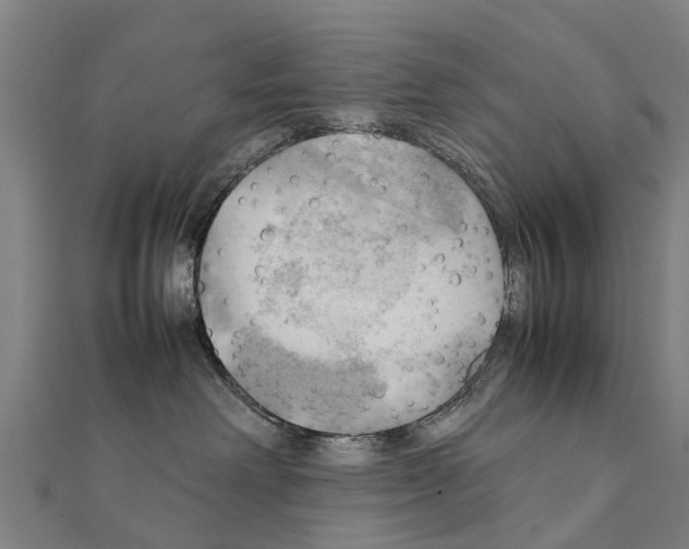 X0000111210238200908121139