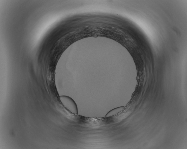 X0000111210239200908121139