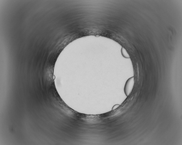 X0000111210240200908121139