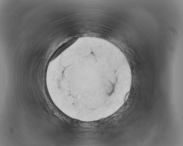 X0000111210241200908121138