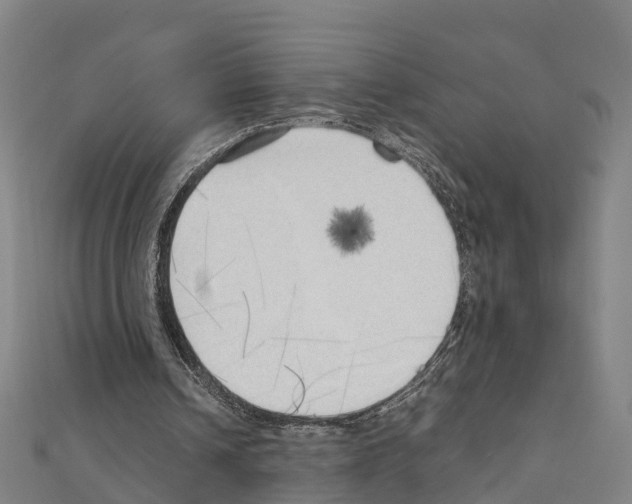 X0000111210242200908121138