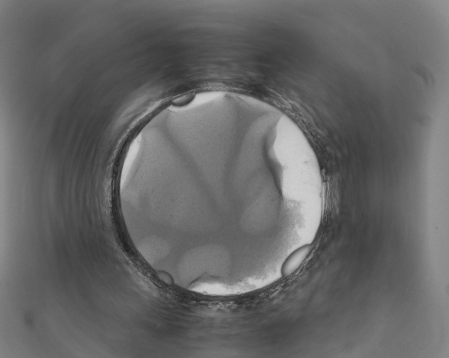 X0000111210243200908121138