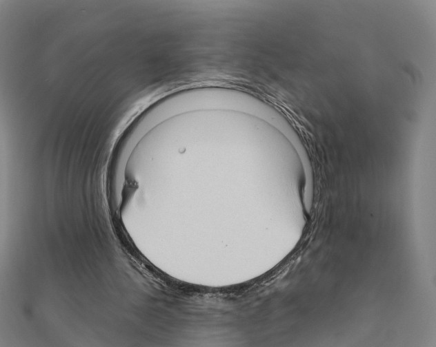 X0000111210244200908121138