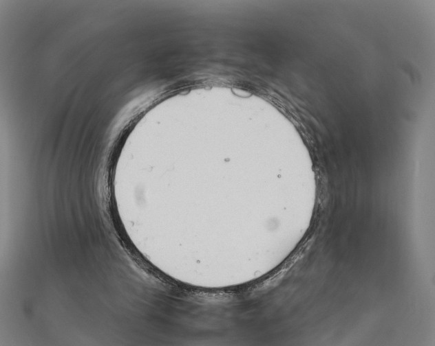 X0000111210245200908121138