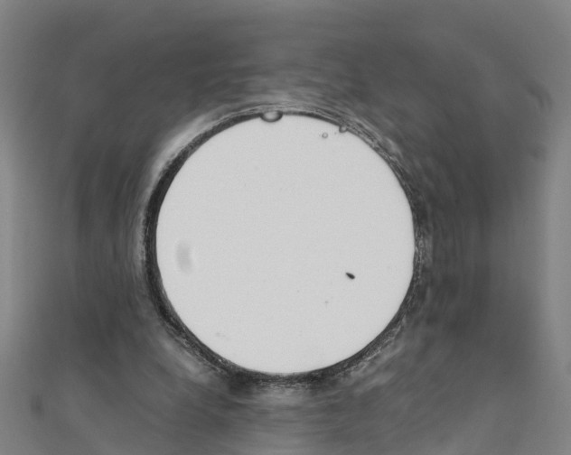 X0000111210248200908121138