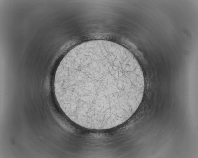 X0000111210250200908121138