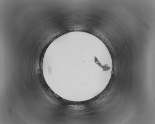 X0000111210251200908121138