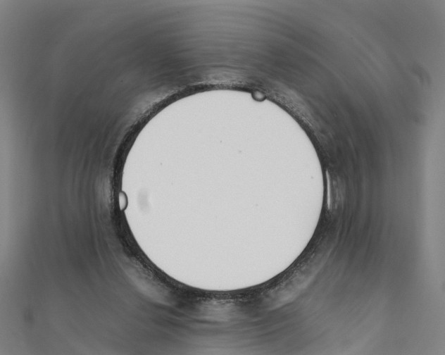 X0000111210252200908121138