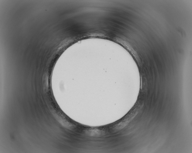 X0000111210253200908121138