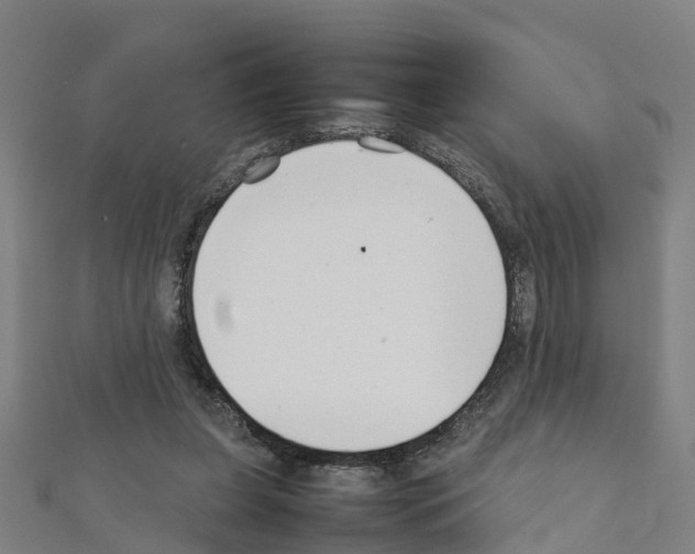 X0000111210255200908121139