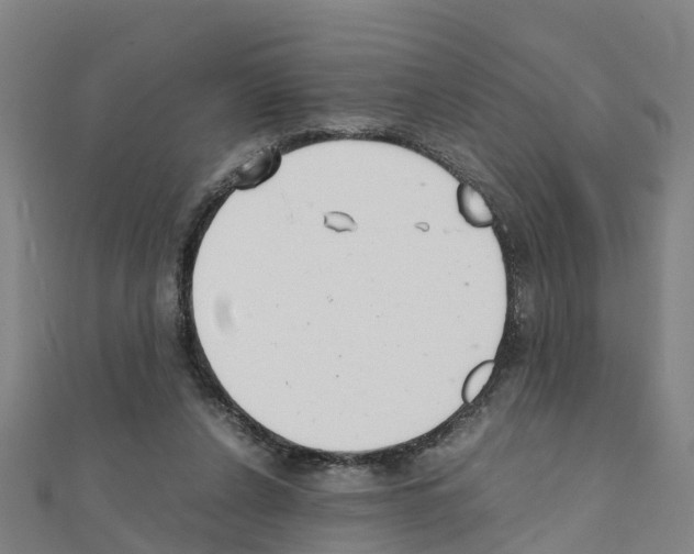 X0000111210256200908121139