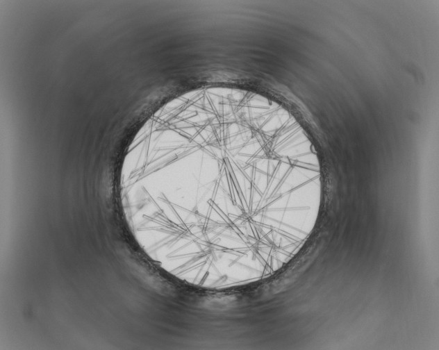 X0000111210257200908121139