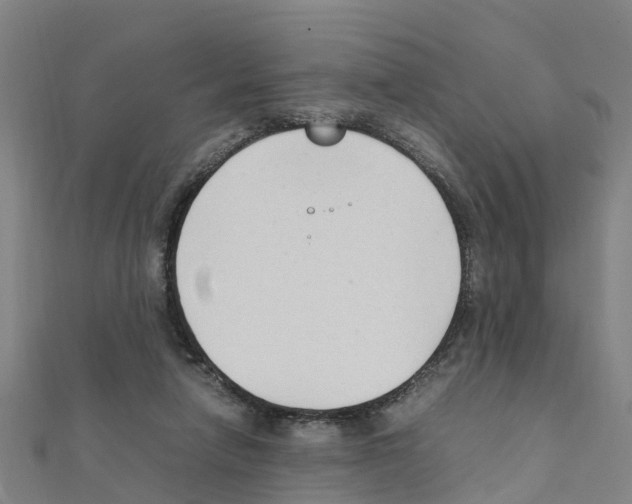 X0000111210258200908121139