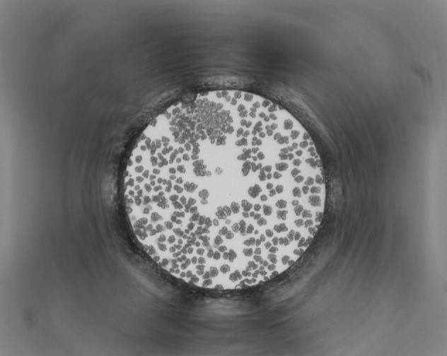 X0000111210259200908121139