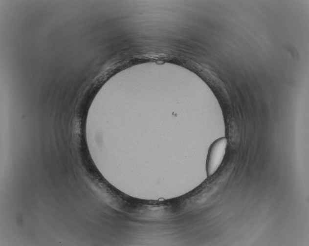 X0000111210260200908121139