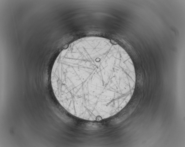 X0000111210261200908121139