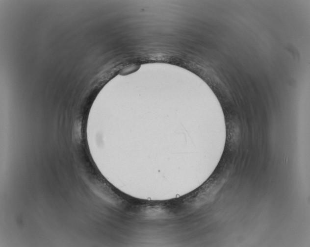 X0000111210262200908121139