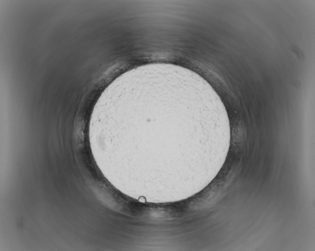 X0000111210264200908121139