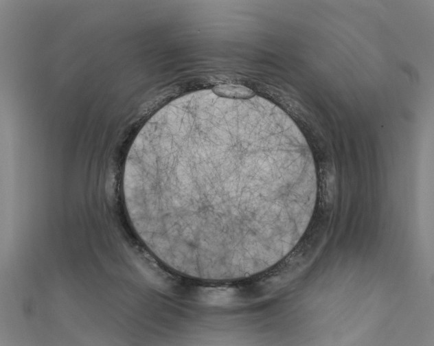 X0000111210266200908121139