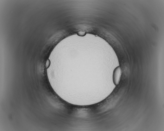 X0000111210268200908121139