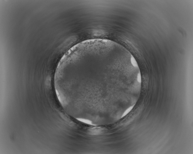 X0000111210269200908121139