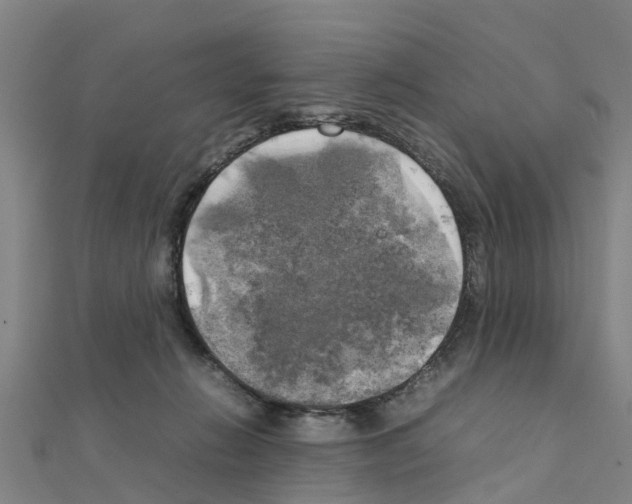 X0000111210270200908121139