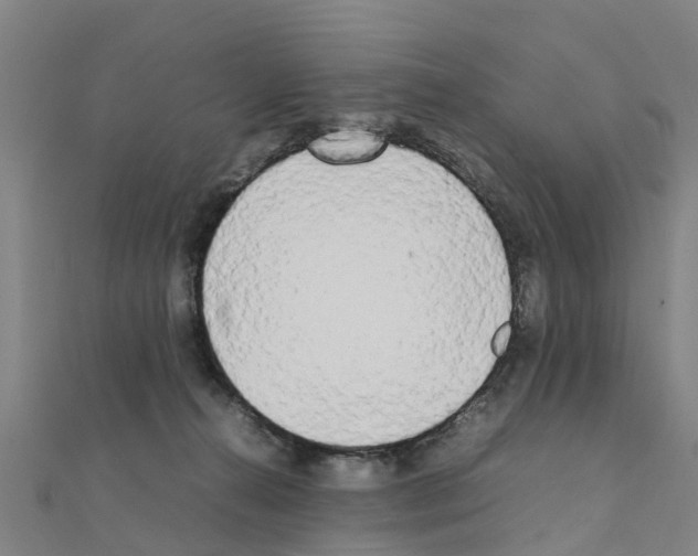 X0000111210272200908121139