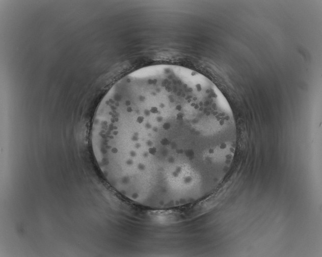 X0000111210273200908121139