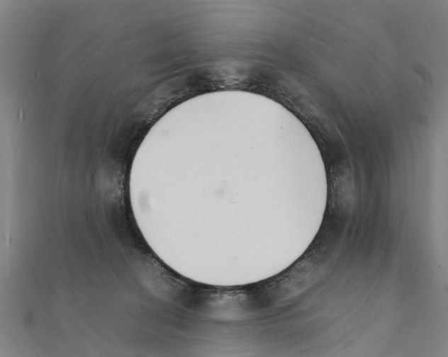 X0000111210274200908121139