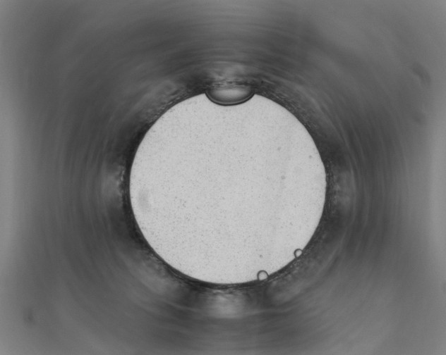 X0000111210275200908121139