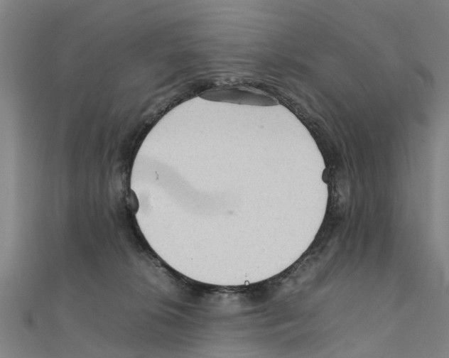 X0000111210276200908121139