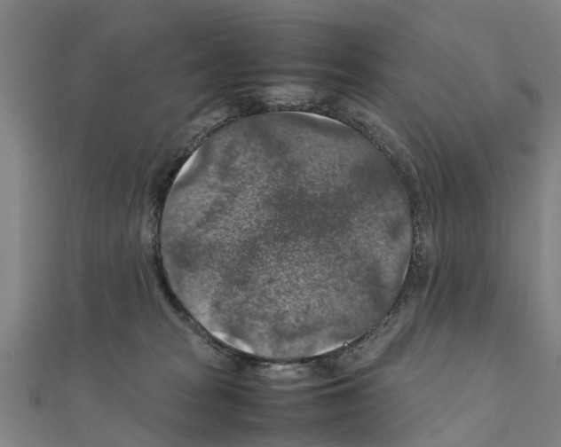 X0000111210277200908121139