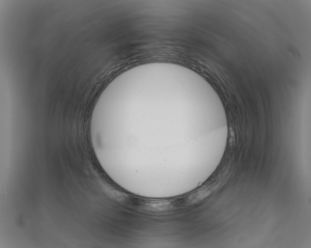 X0000111210278200908121139