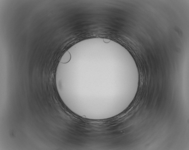 X0000111210279200908121139