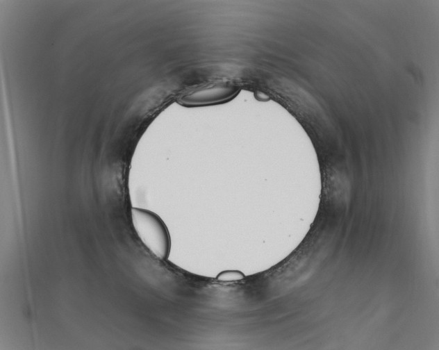 X0000111210280200908121139