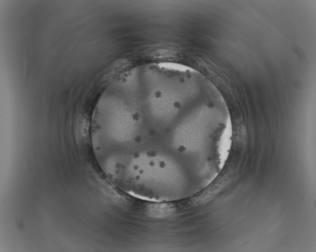 X0000111210281200908121139