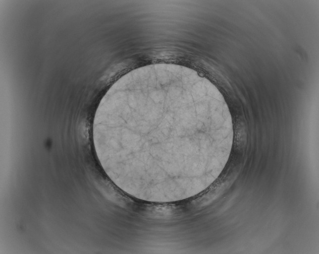 X0000111210282200908121139