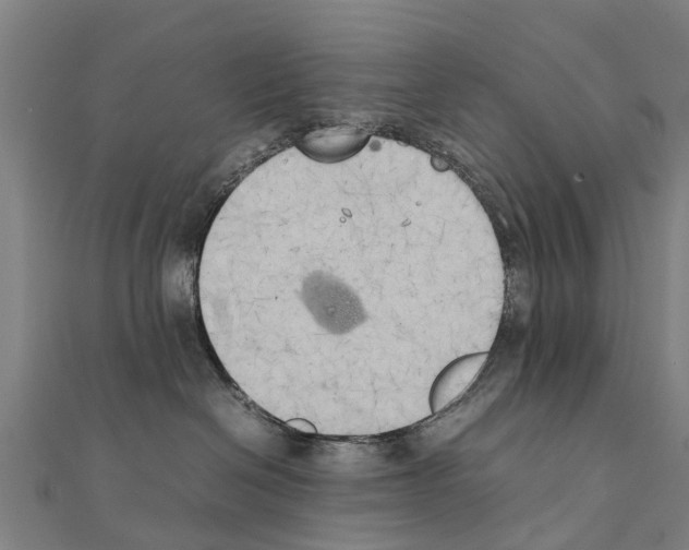 X0000111210286200908121139