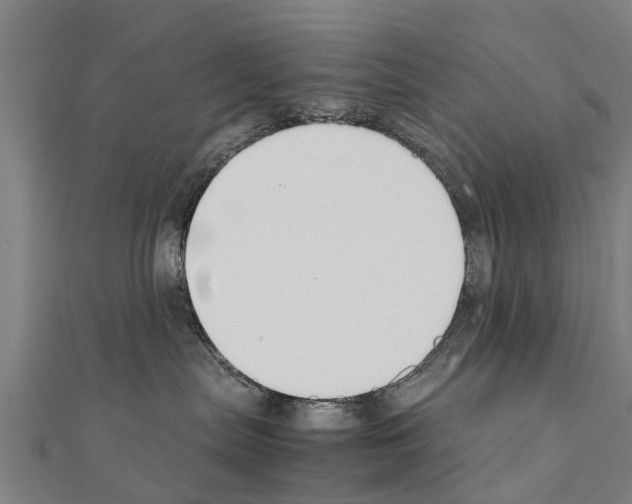 X0000111210287200908121139