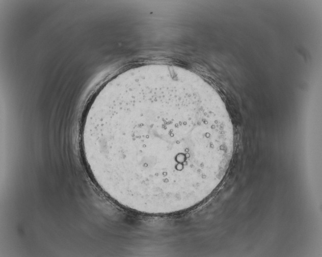 X0000111210293200908121138