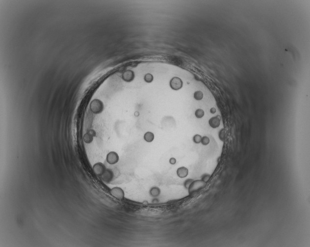 X0000111210294200908121138