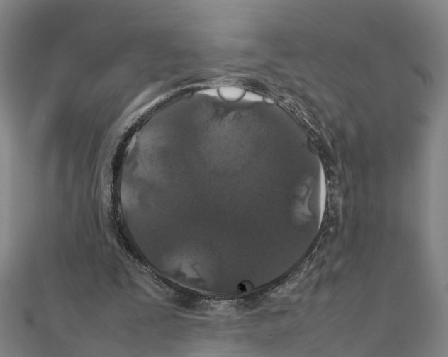 X0000111210295200908121138