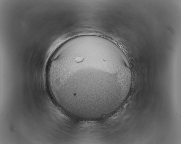 X0000111210296200908121138