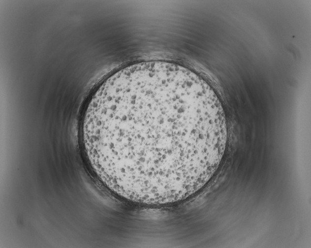 X0000111210298200908121138