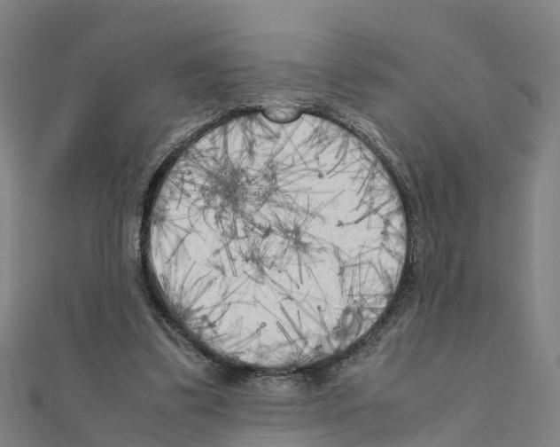 X0000111210299200908121138