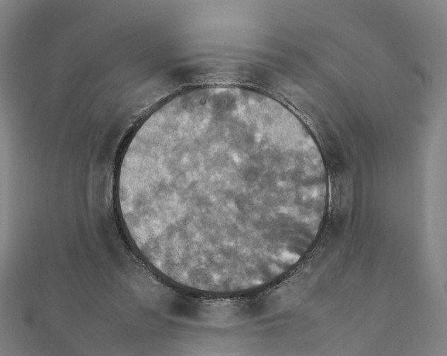 X0000111210301200908121138