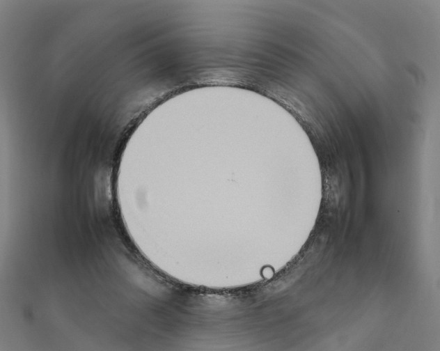 X0000111210302200908121138