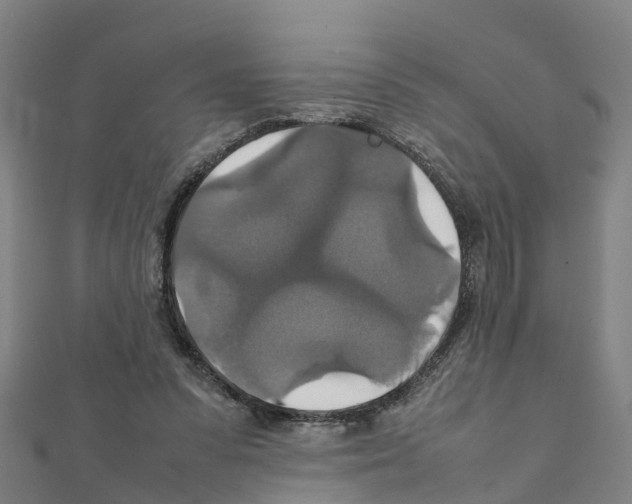 X0000111210303200908121138