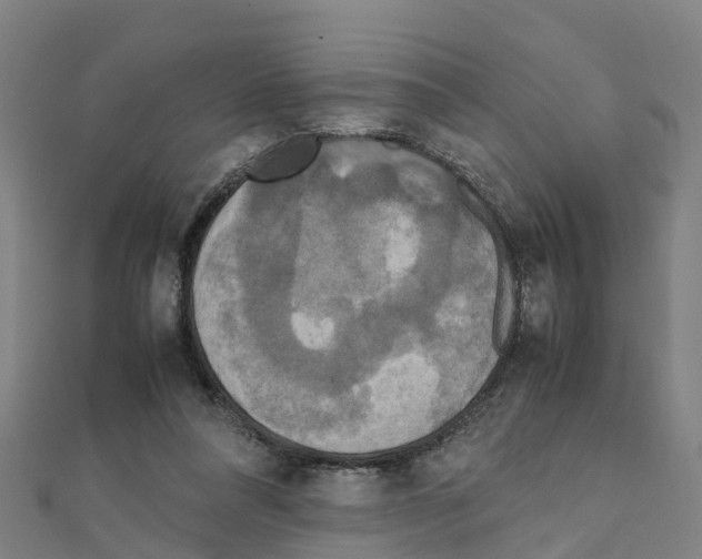 X0000111210304200908121138