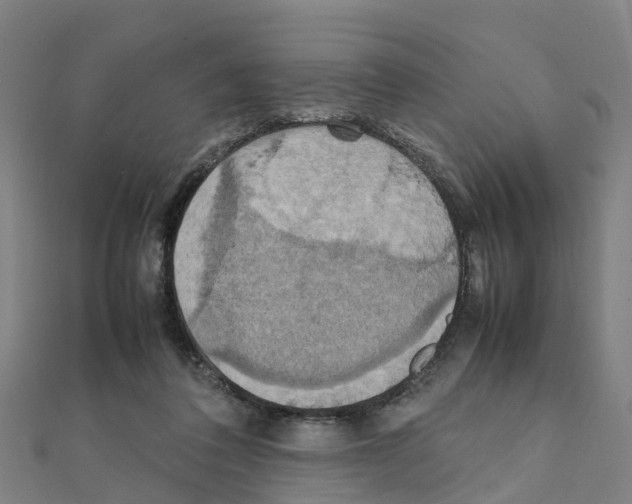 X0000111210308200908121138